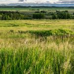 alberta-grasslands-prairies-agriculture