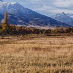 rocky-mountains-cattle-feilds-agriculture-leasing